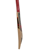 Lightweight XP Cricket Bat featuring a sleek design and enhanced edges for dynamic shot-making.