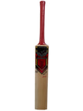 XP Cricket Bat designed for powerful shots, featuring a lightweight build and robust sweet spot for professional players.