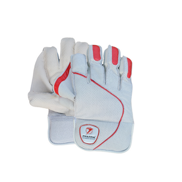 PNRRA wicket keeping gloves for cricket, high-quality, durable, and comfortable