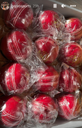 Elite T20 4 Piece Cricket Leather balls